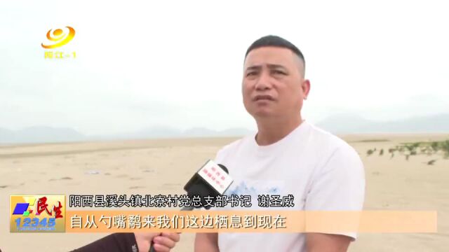 阳西北寮村:打造“候鸟天堂” 实现人与自然和谐共生