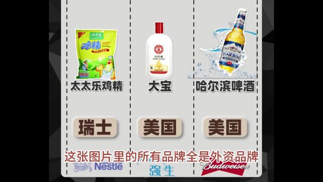 国货潮是如何崛起的?比亚迪悬赏500万打击造谣