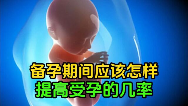 备孕期间应该怎样提高受孕的几率?