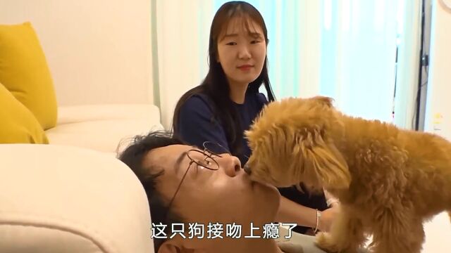 新婚妻子碰到了心机狗,老公被狗霸占,却没有一点办法