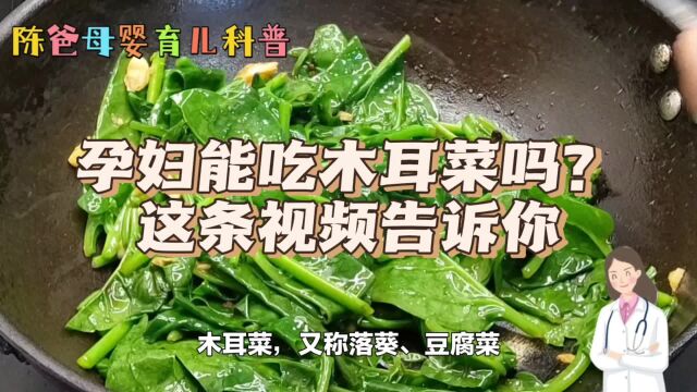 孕妇能吃木耳菜吗?这条视频告诉你,陈爸分享科学育儿小妙招