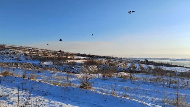 雪后初晴看雪景