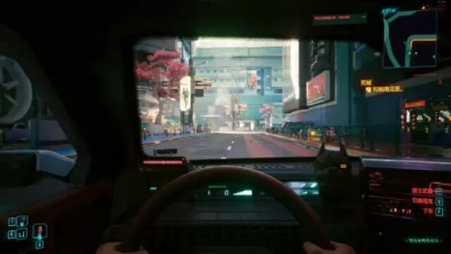 Cyberpunk 2077 当你第一次遇到帕南be like