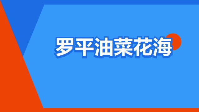 “罗平油菜花海”是什么意思?