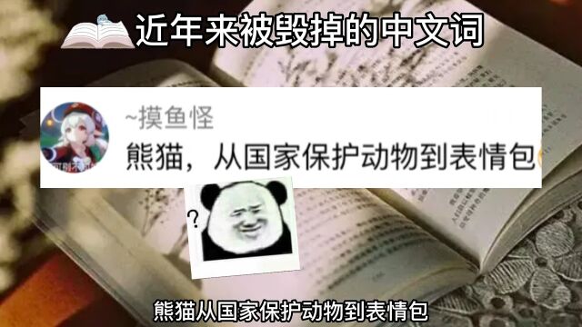 近年来已被毁掉的中文词!