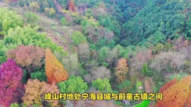 宁波有个小山村,古树群五彩斑斓,还有地质奇观冰川石浪