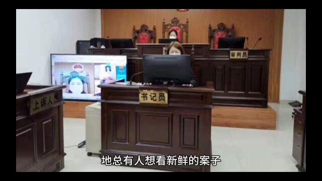 民间刑事案件