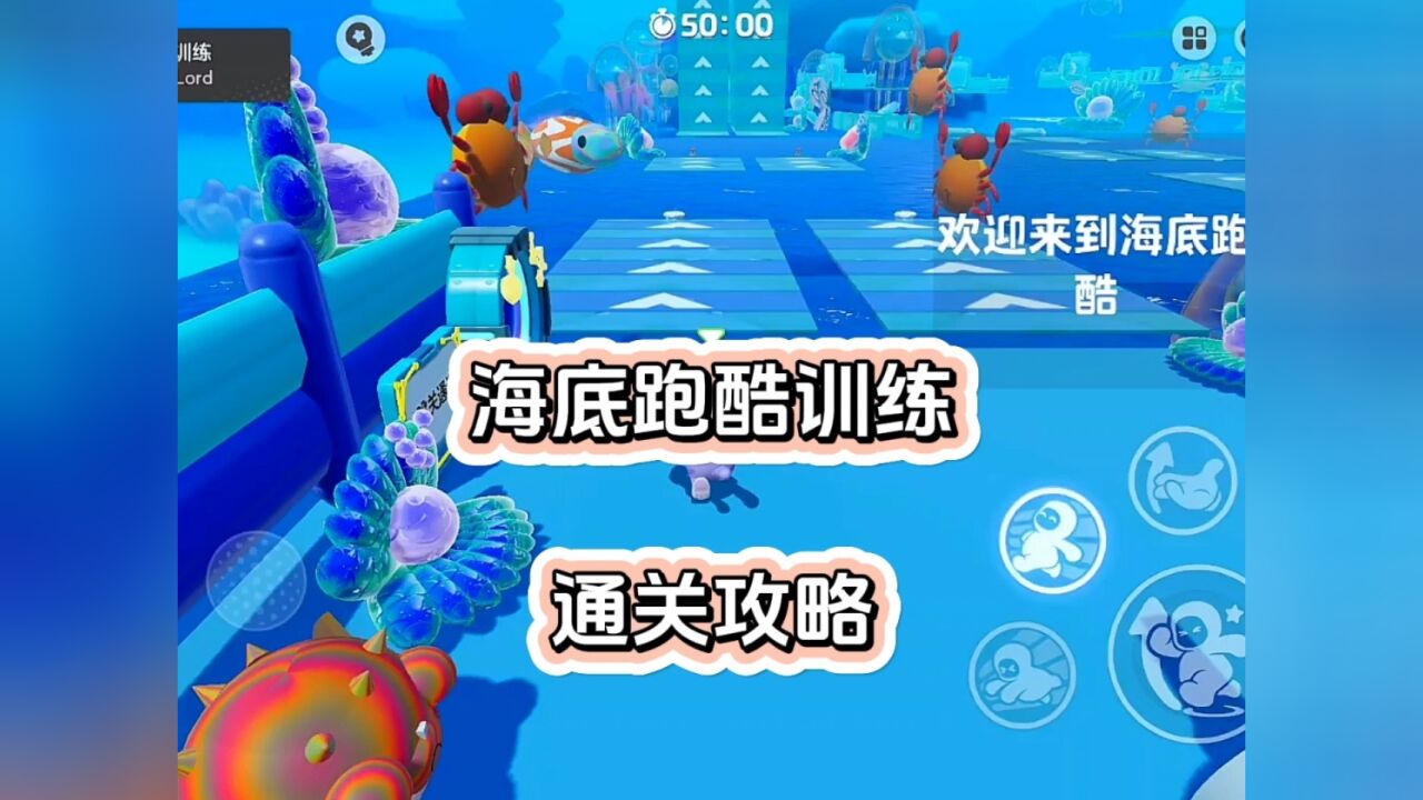 元梦之星正式上线啦_高清