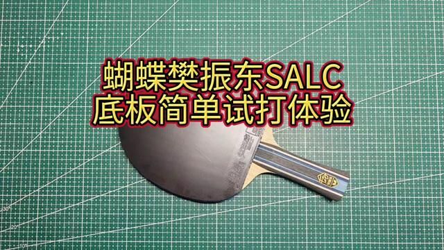 蝴蝶樊振东salc底板简单试打体验#乒乓球训练