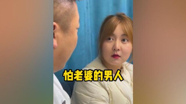 盘点那些怕老婆的男人:东北大老爷们就这家庭地位?