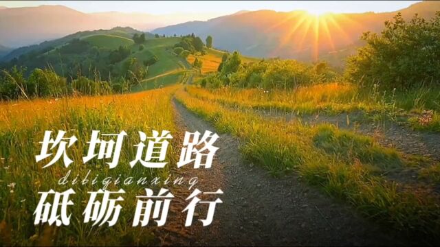 道路坎坷砥砺前行