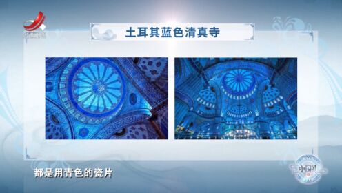 中国礼陶瓷季丨杨澜与嘉宾谈青花：中国人对它有一种亲近感
