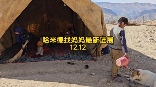 让大叔不得不再次卖掉一只山羊以换取建造哈米德新房所需第一批砖