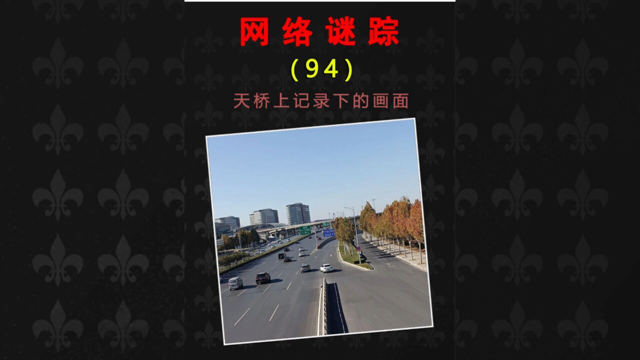 网络谜踪推理挑战,道路尽头的立交桥