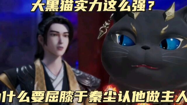 武神主宰:大黑猫实力这么强?为什么要屈膝于秦尘认他做主人?