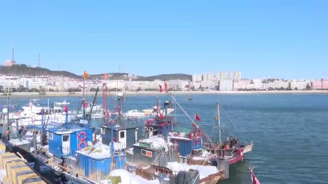 冷空气来袭 长海县8700多艘渔船回港避风