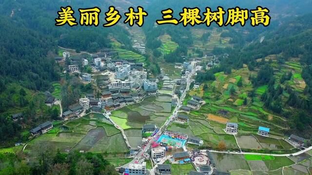 #凯里三棵树脚高 脚高村位于凯里市三棵树镇驻地17公里,距凯里市区25公里,自然寨风景秀丽,具有气候温和、四季分明