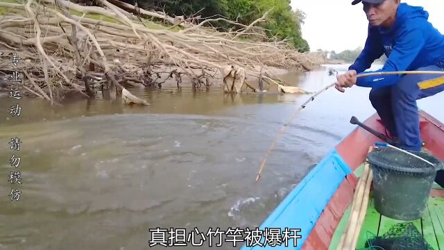 长杆短线钓军鱼,过瘾刺激又新奇!户外抓海鲜