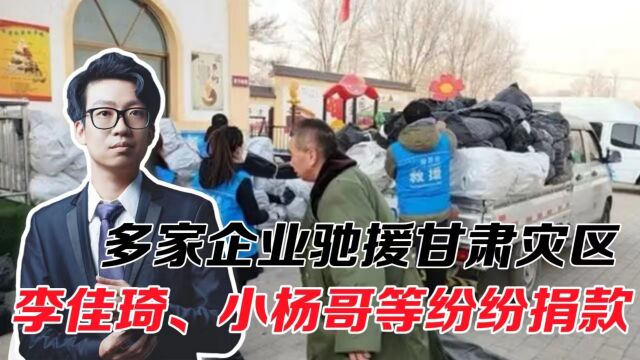 多家企业驰援甘肃灾区,李佳琦捐500万,小杨哥、新东方也不落后