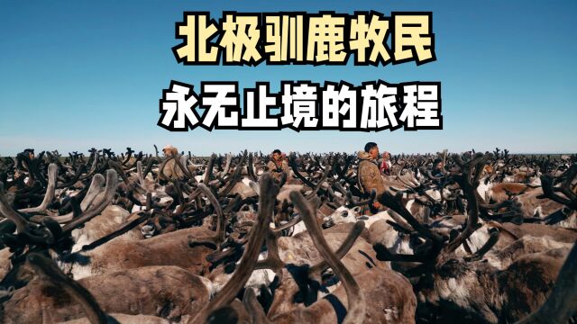 北极驯鹿民族:永无止境的旅程!