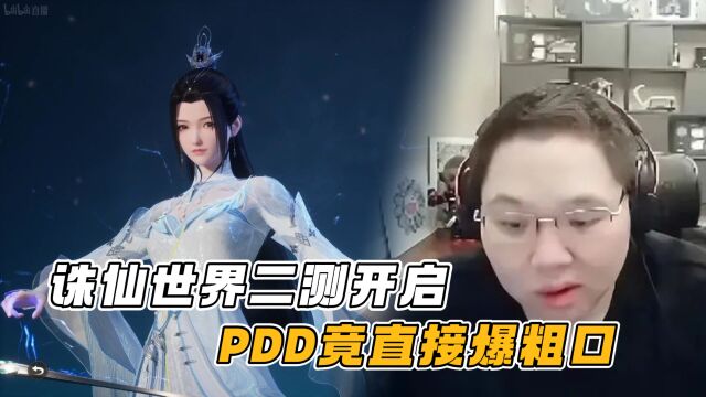 诛仙世界二测开始,pdd竟直接爆粗口