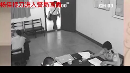 轰动全国的杨佳案，起因竟只因为一辆自行车，冲进警局酿成大错！（1）_高清1080P在线观看平台_腾讯视频