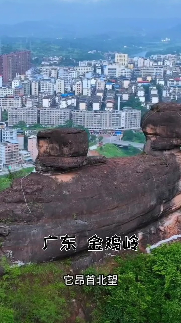 广东金鸡岭