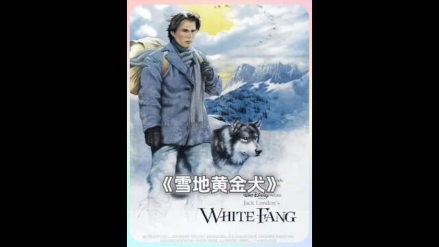 跨越种族的情感,一人一狼的相互救赎《雪地黄金犬》