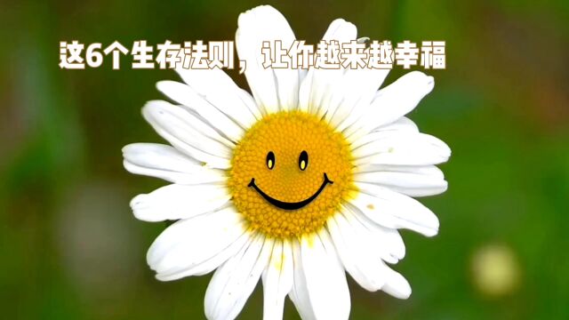 这6个生存法则,让你越来越幸福