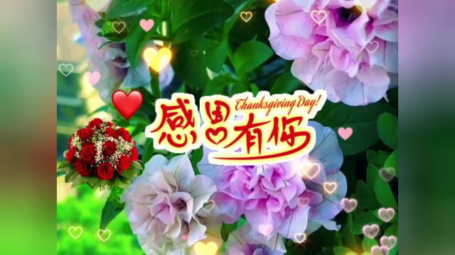 今夜对你想入非非【歌曲】