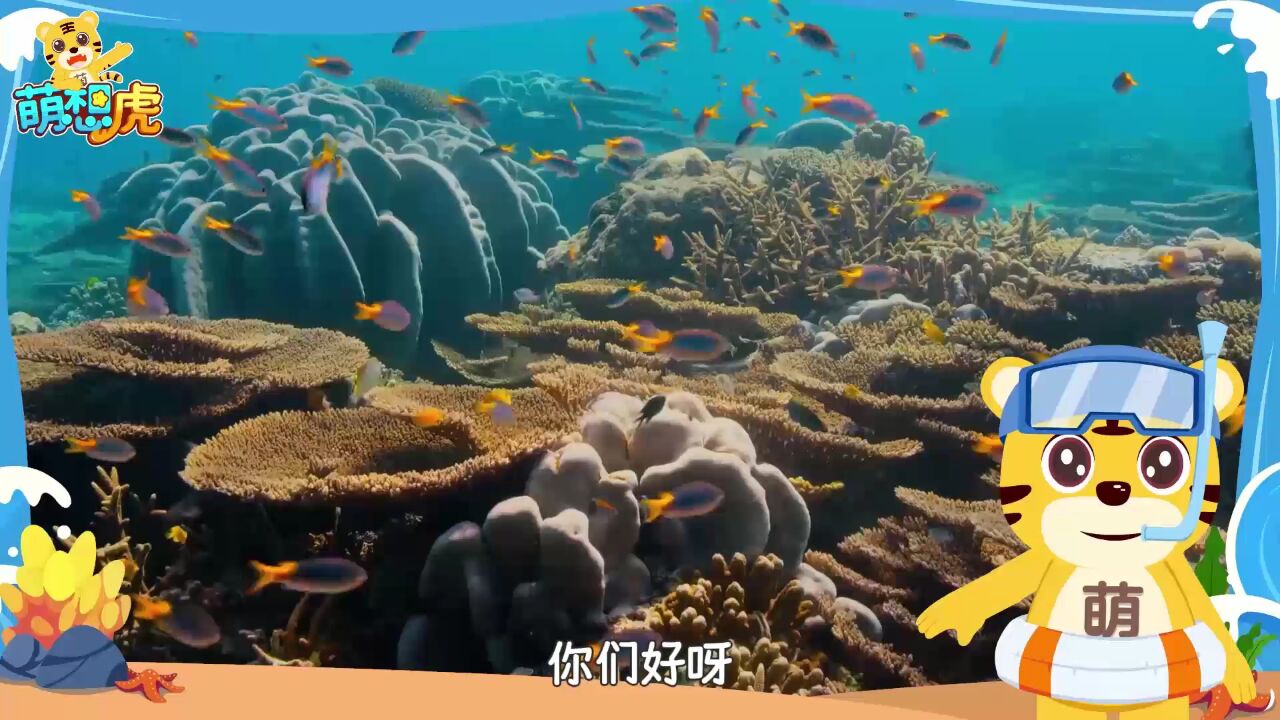 飛魚是真的能飛嗎?