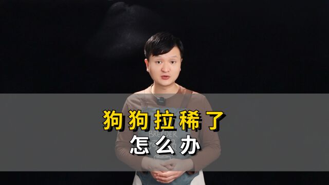 狗狗拉稀了怎么办?这几招可以轻松缓解