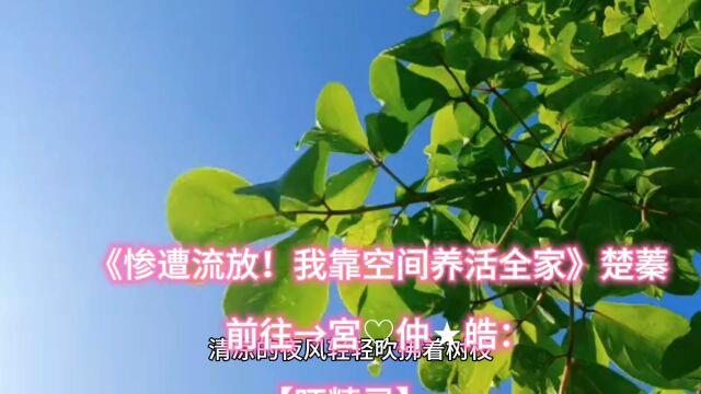 精彩好书《惨遭流放!我靠空间养活全家》楚蓁小说完整版