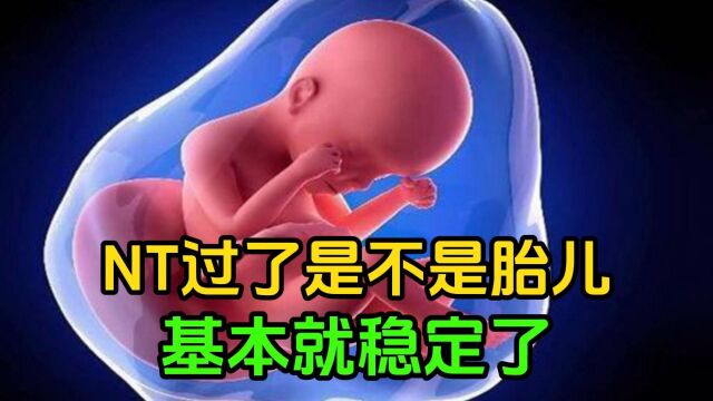 NT过了是不是胎儿基本就稳定了?