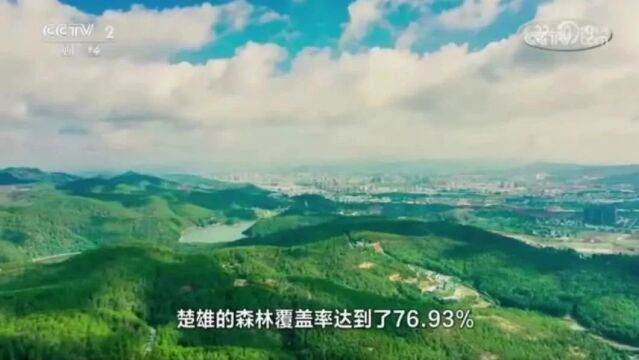 央视聚焦!楚雄市如何解锁县域经济发展“韧性密码”!