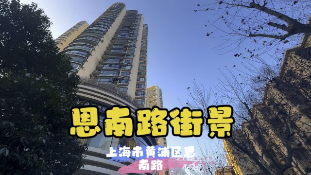 思南路街景~上海黄浦区