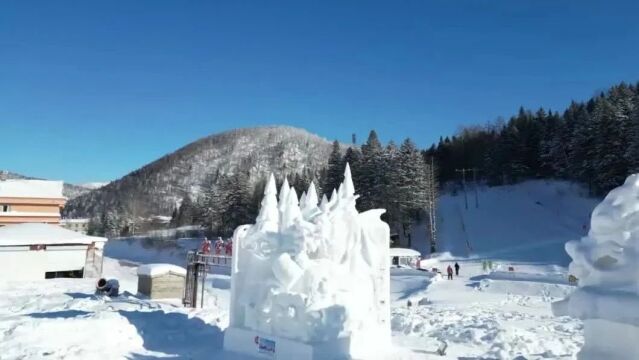 “龙江森工ⷤ𘭥›𝩛ꤹᦝ雪雕创意比赛圆满闭幕