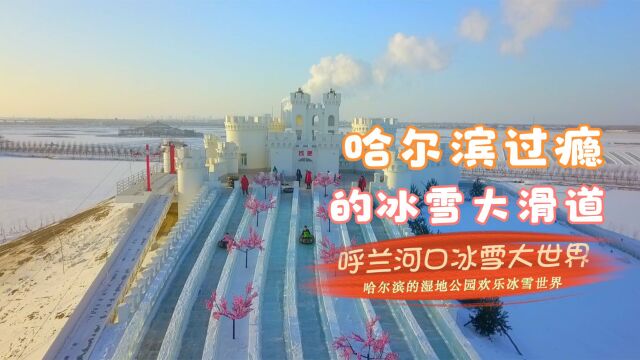 哈尔滨冰天雪地中,其实还有座“呼兰河口湿地公园欢乐冰雪世界”