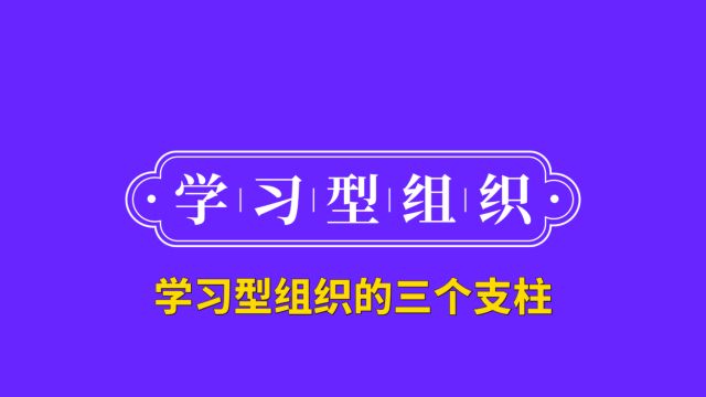 16学习型组织的三个支柱2