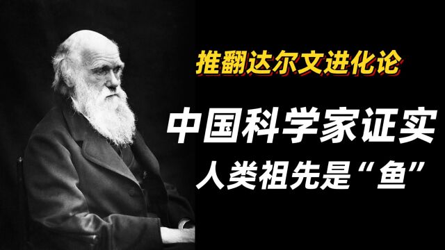 中国科学家推翻达尔文,证明人类是一条鱼进化的,人类起源的惊人真相