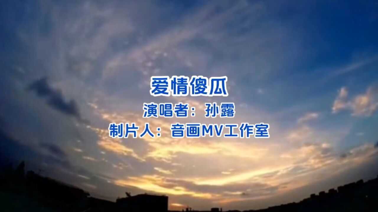 爱情傻瓜 孙露 经典歌曲 流行歌曲