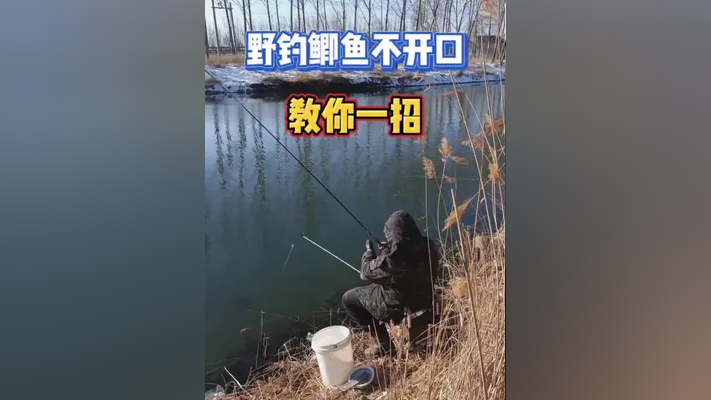 野釣鯽魚不開口教你一招