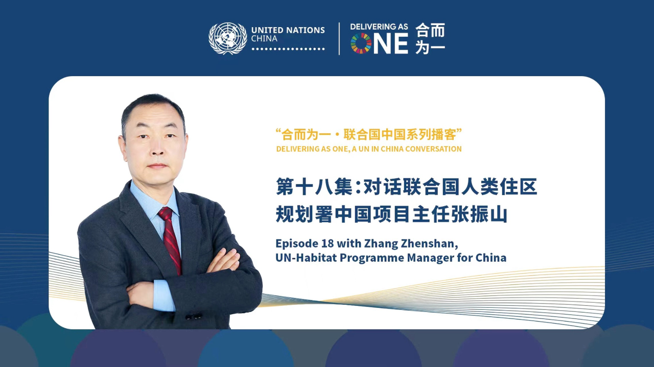中国における外資系企業の立地決定と公共政策/日本僑報社/魏後凱