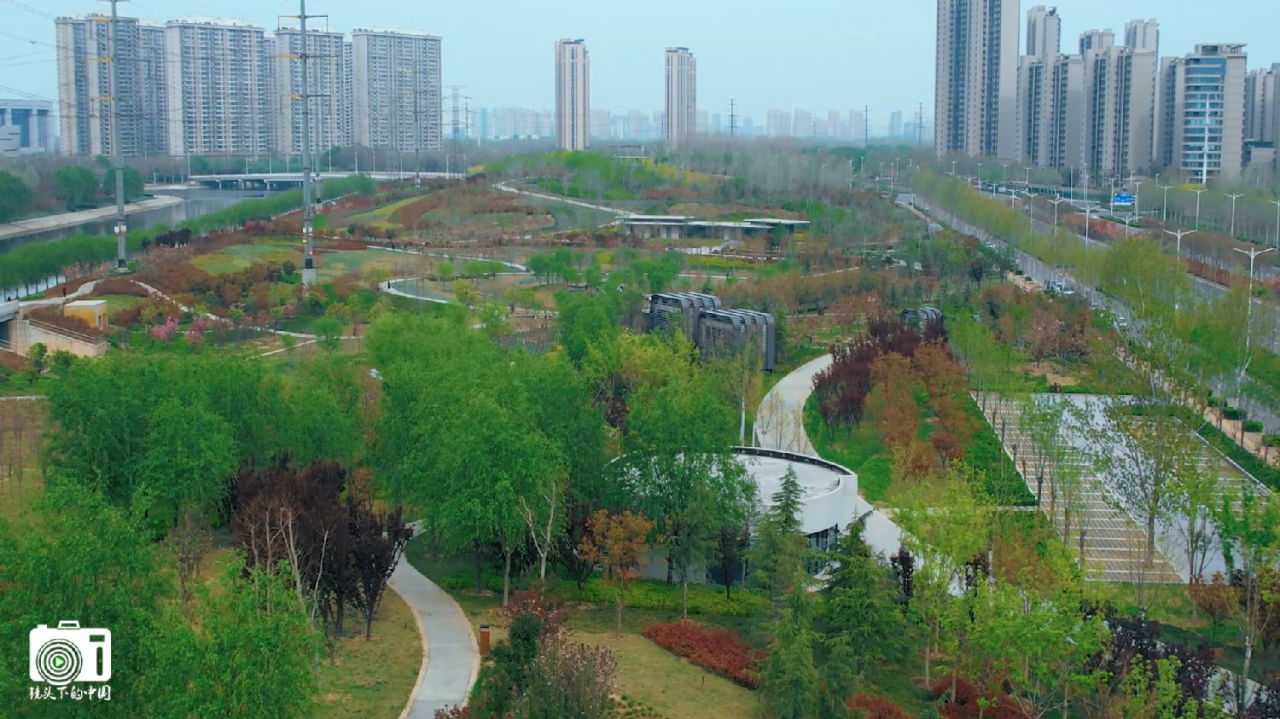 郑州市郑东新区七里河南路春日美丽绿色廊道