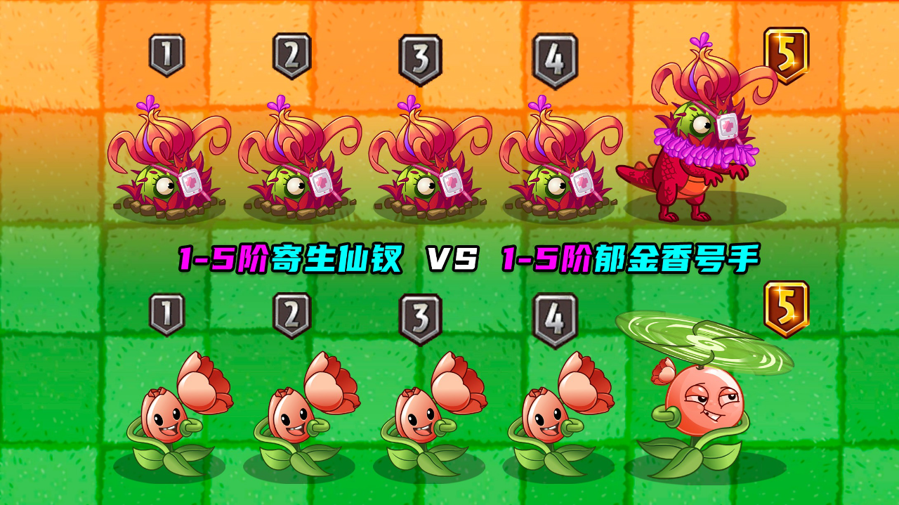 1-5阶寄生仙钗 vs 1-5阶郁金香号手!谁的魅惑值更高?庄先森解说