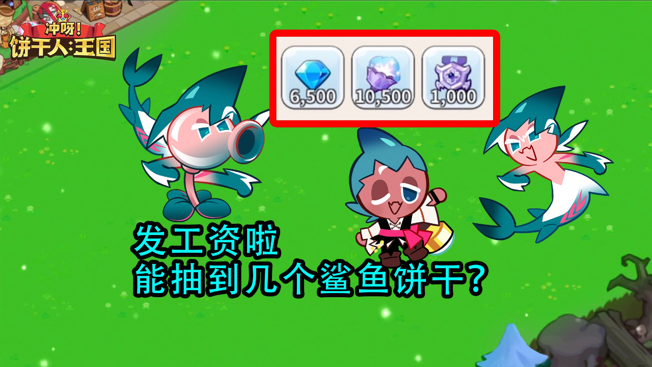 能抽到几个鲨鱼饼干?庄先森解说