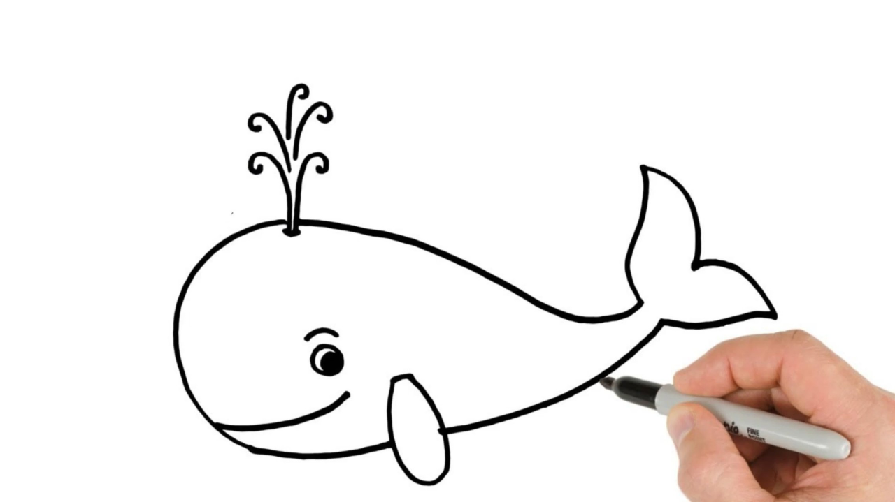 腾讯视频】 简单创意绘画教程合集儿童简笔画鲸鱼怎么画，手把手教你画鲸鱼，简单好看