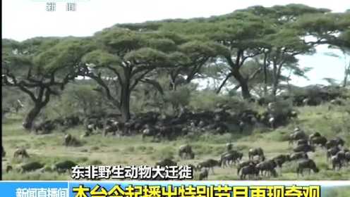 坦桑尼亚 东非野生动物大迁徙