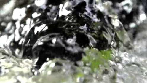 央视纪录片《茶，一片树叶的故事》预告片