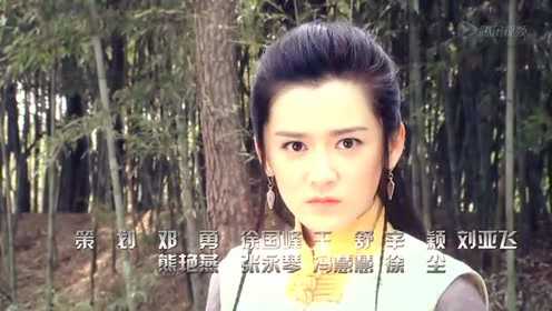 夺宝传奇 13集
